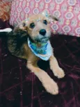 Yuki
