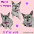 Marie