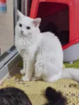 Marie