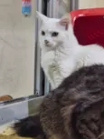 Marie