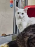 Marie
