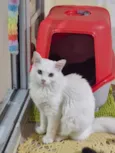 Marie