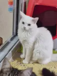 Marie