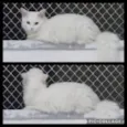 Marie