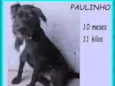 Paulinho