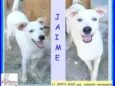 Jaime