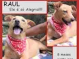 Raul