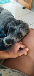 Lola