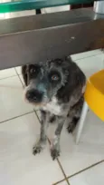 Lola