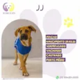J J