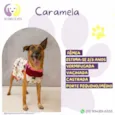 Caramela