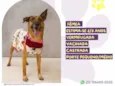 Caramela