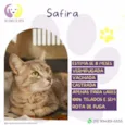 Safira