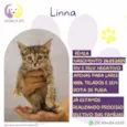 Linna