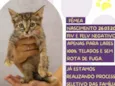 Linna