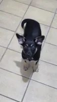 Jake