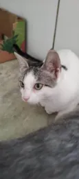 Lili