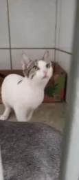 Lili