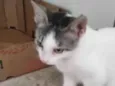 Lili