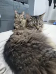 Alice e Dorothy