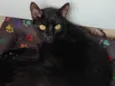 Tobi