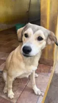 Branquinha