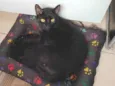 Tobi