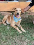 Lorenzo