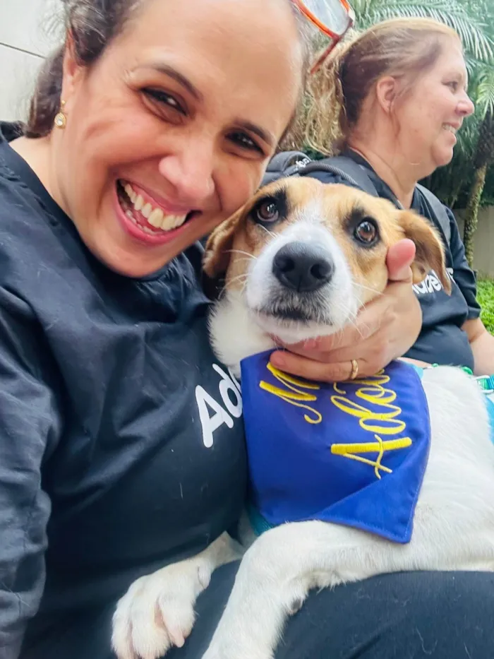 Cachorro ra a SRD-ViraLata idade 3 anos nome Naruto 