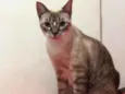 Princesa