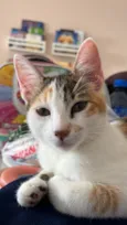 Zuri