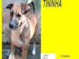 Tininha