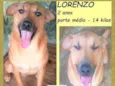 Lorenzo