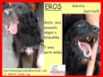 Eros