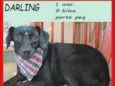 Darling