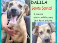 Dalila