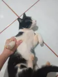Tom