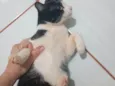 Tom