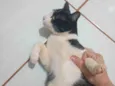 Tom