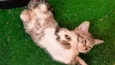 Bonbon bb2meses Linda