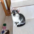 Mimi bb2meses Linda