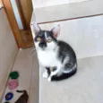 Mimi bb2meses Linda