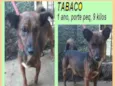 Tabaco