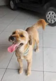 Chico