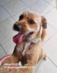 Chico