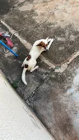 Chorinho