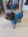 Lucky