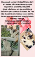 Docinho e Clara
