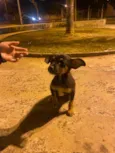 O nome dele é bily