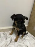 O nome dele é bily